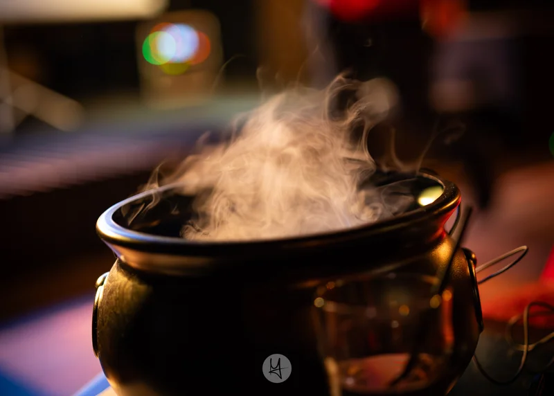 Professional photo 21